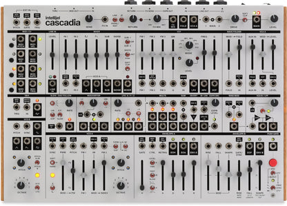 Intellijel - Cascadia Desktop Semi-Modular Synthesizer